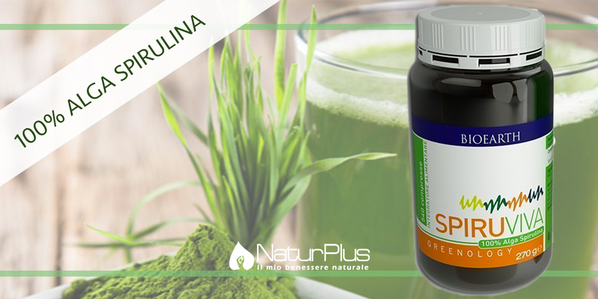 alga spirulina